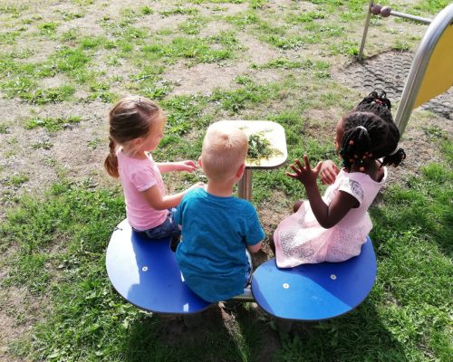 Samen aan de gras spagheti